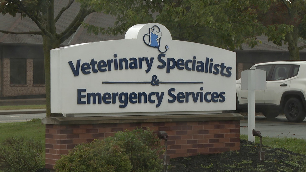 Brighton's VSES Closure Leaves Pet Owners in Panic