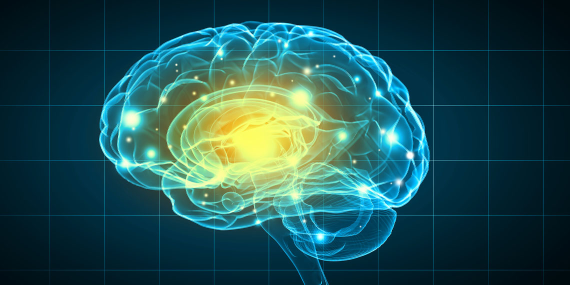 Featured image for Study Shows AI Reveals Key Gender-Based Brain Differences