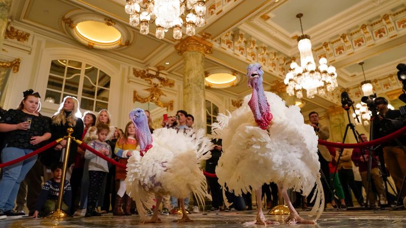"Biden's Pardoning of Turkeys Liberty and Bell Marks a Thanksgiving Tradition"