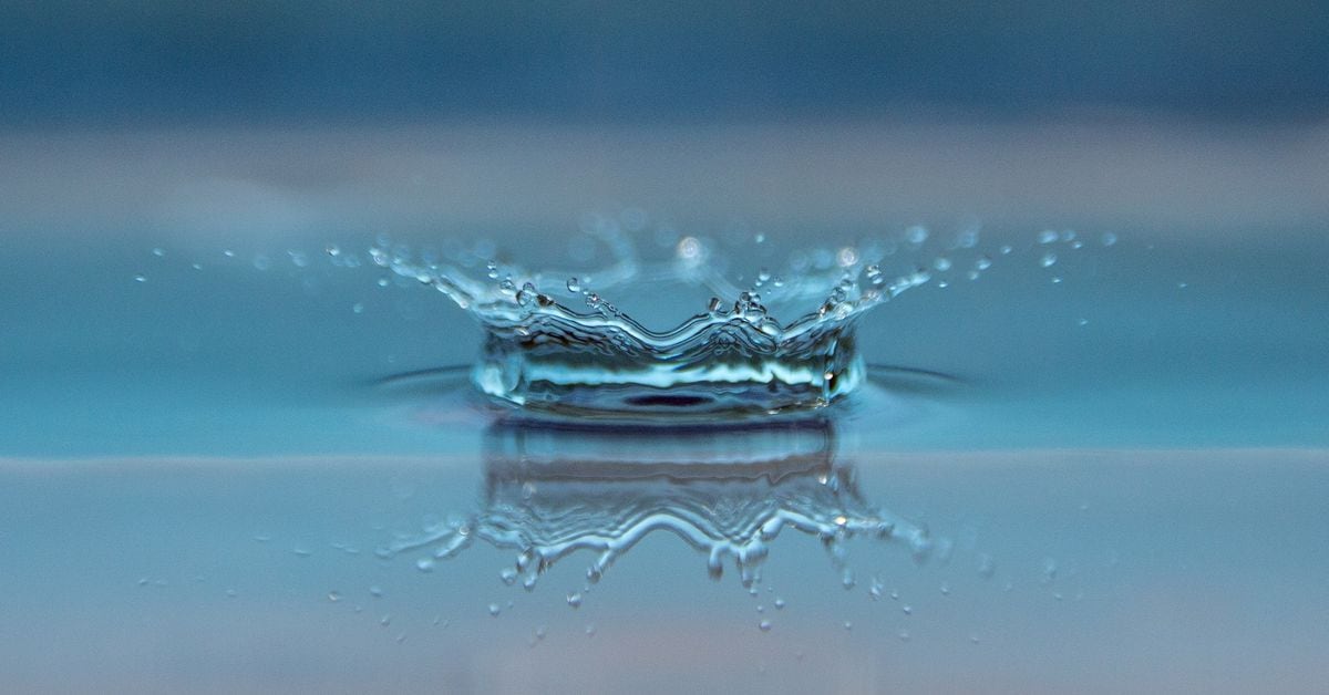 "BlackRock and Fidelity Outpace Grayscale in Bitcoin ETF Liquidity Race: JPMorgan"