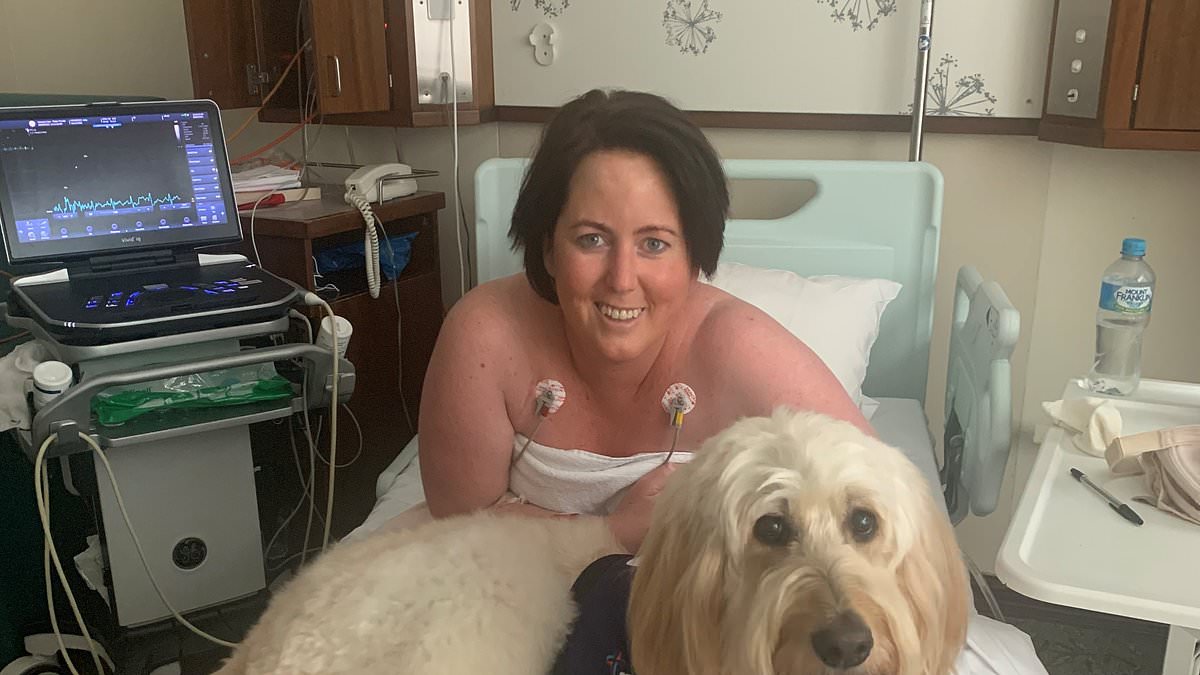 Featured image for "Surviving 21 Years of Cancer: A University Pain's Unexpected Journey"