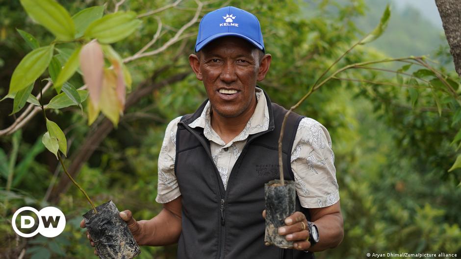 Featured image for Sherpa Matches Record with 26th Everest Ascent.