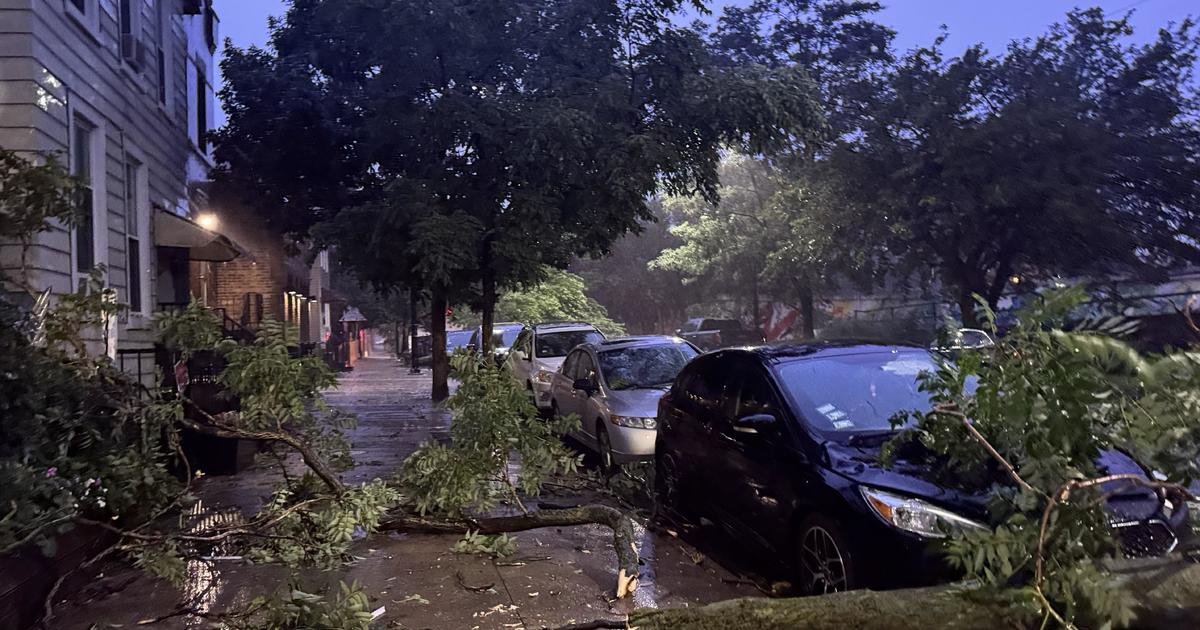Tornadoes and Storms Batter Chicago Area with Warnings in Effect