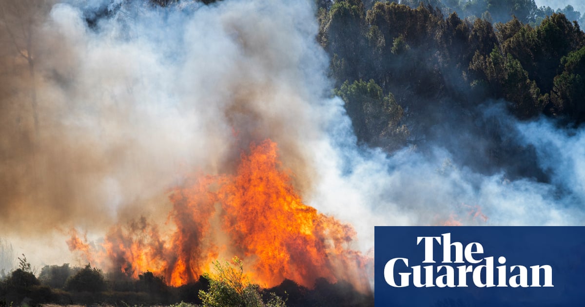 2023 Set to Break Heat Records, Confirming Warmest Year in History