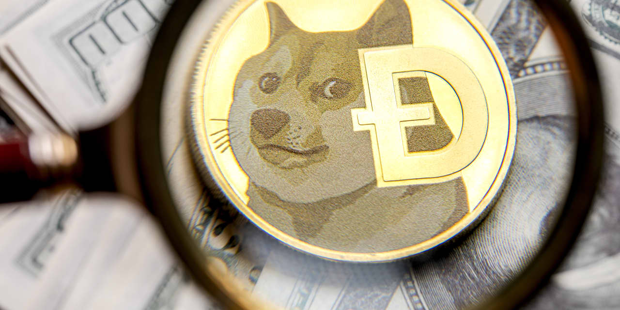 Cryptocurrency Market Volatility Continues Amid Elon Musk's Influence.