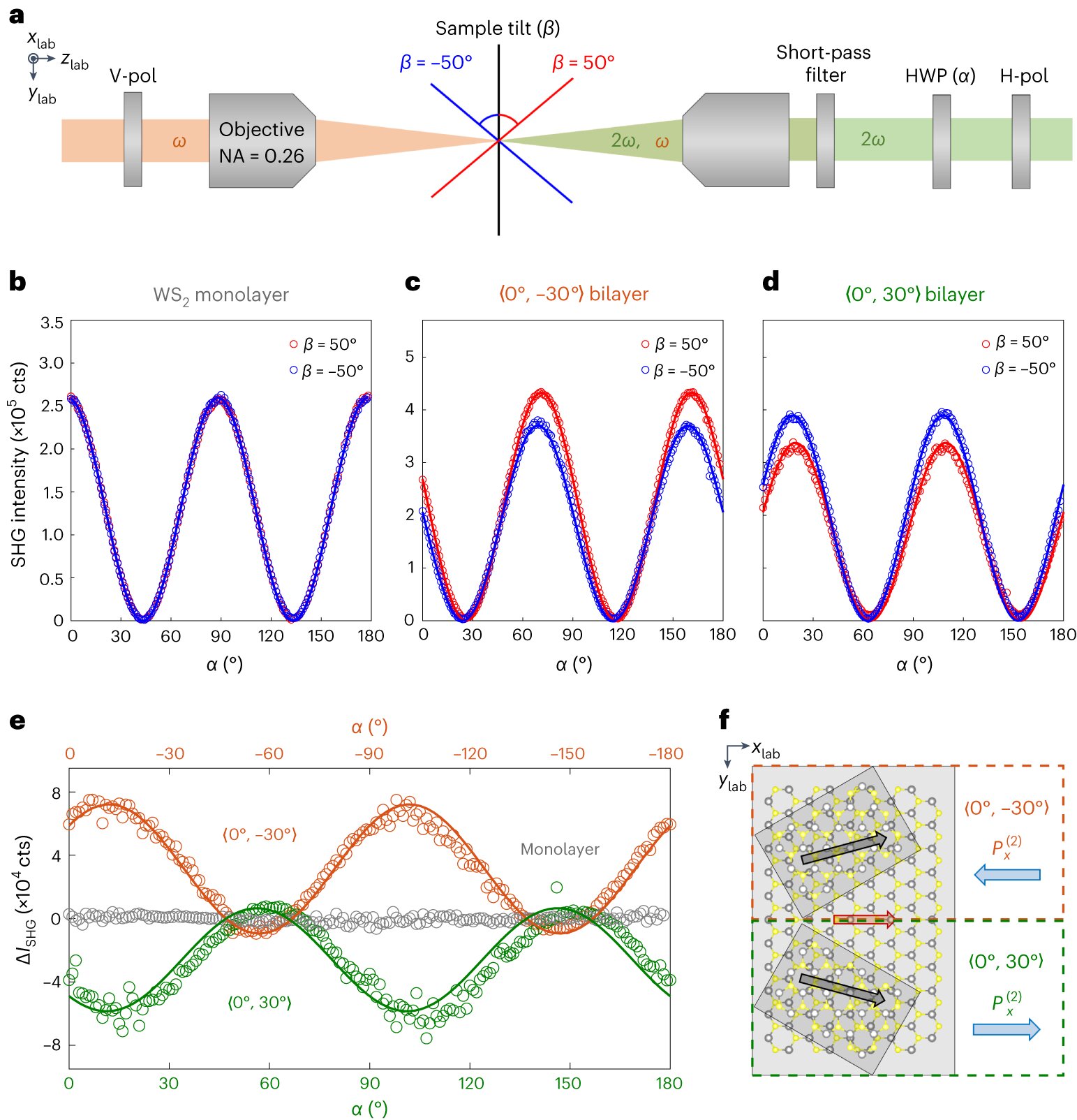 Featured image for "Revolutionizing Material Science: Unleashing the Potential of Atomic Sheets"