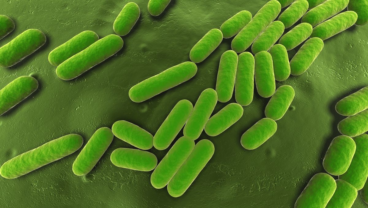 Featured image for "Deep Earth Bacteria Converts Carbon Dioxide to Crystals"