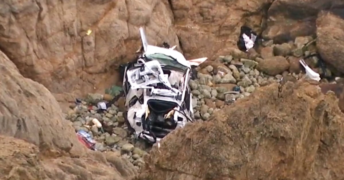 California Doctor's Wife Claims He Purposely Drove Tesla Off Cliff with Family Inside