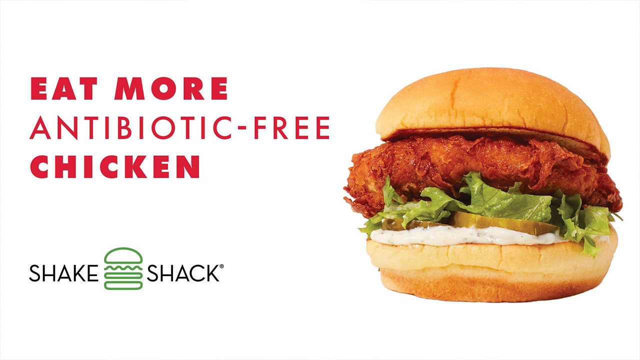 Featured image for "Shake Shack Offers Free Antibiotic-Free Chicken Sandwiches Every Sunday, Shades Chick-fil-A"