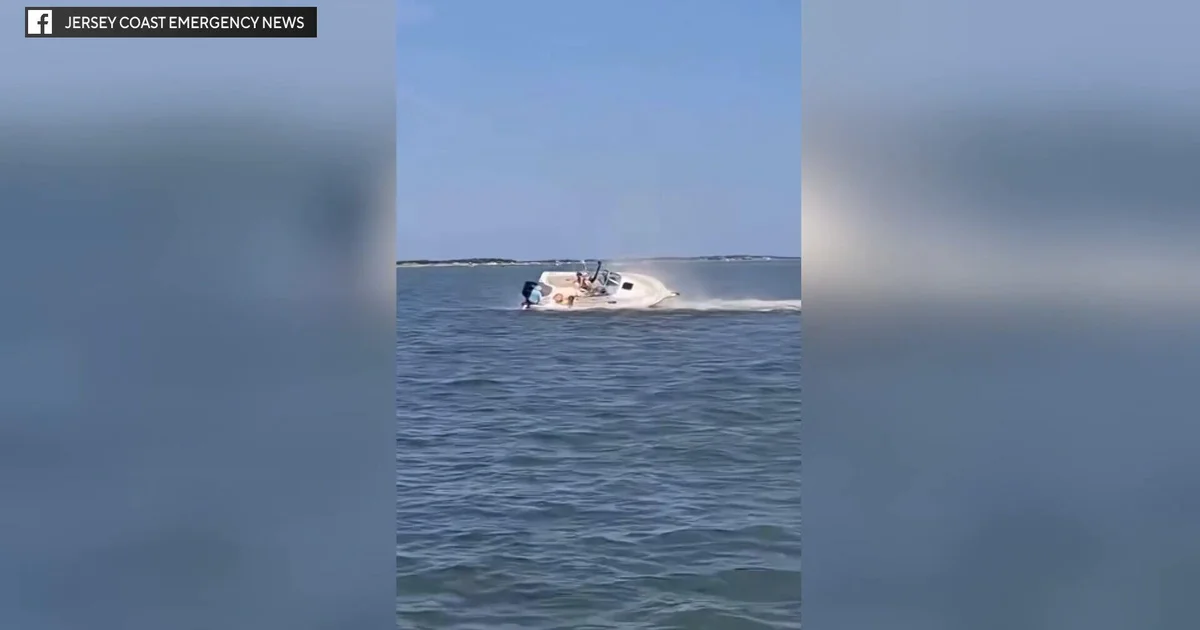 Featured image for Whale Collision in Barnegat Bay Sends Passenger Overboard, Dies in Incident