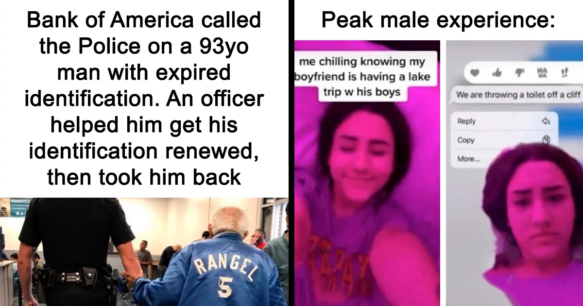 Top 51 Hilarious Memes to Brighten Your Week