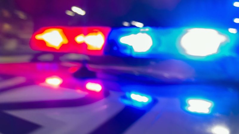 "Connecticut Woman Faces 55 Counts of Animal Cruelty Charges in Deep River"