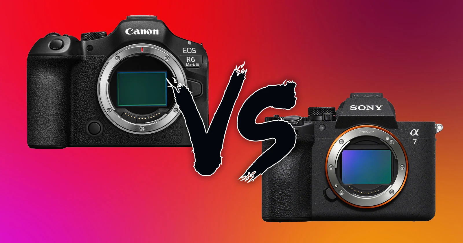 Featured image for Sony a7 V vs Canon R6 III: Which Camera Excels in Performance and Durability?