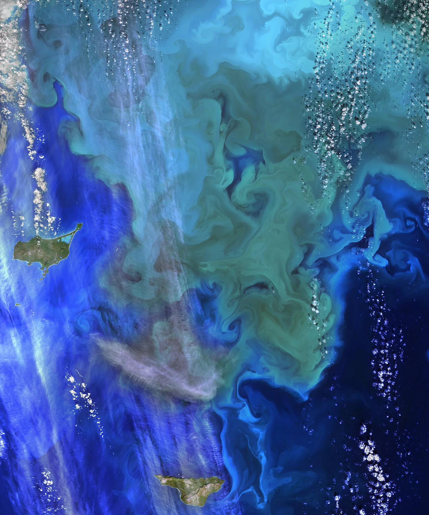 Featured image for Future Climate Change Threatens Oceanic Plankton Survival