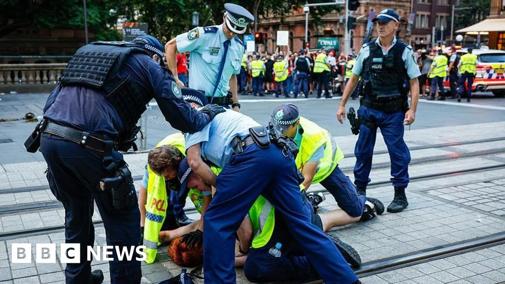 Independent probe targets NSW police after anti-Herzog protests
