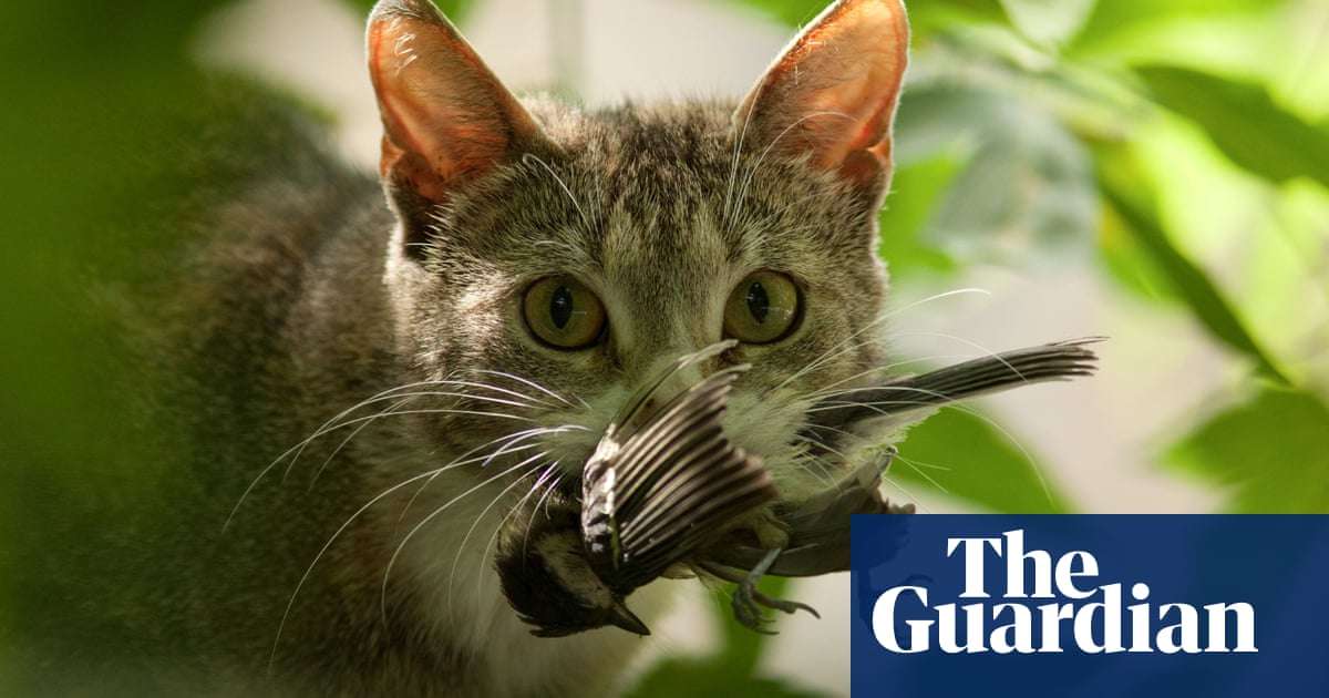 Cats' Carnivorous Cravings: A Menace to 2,000 Species
