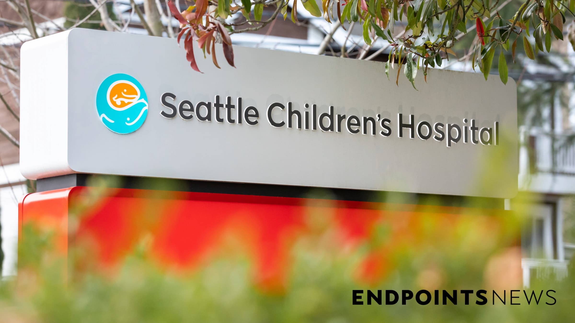 Featured image for Patient death prompts pause in 2seventy bio's cancer therapy study.