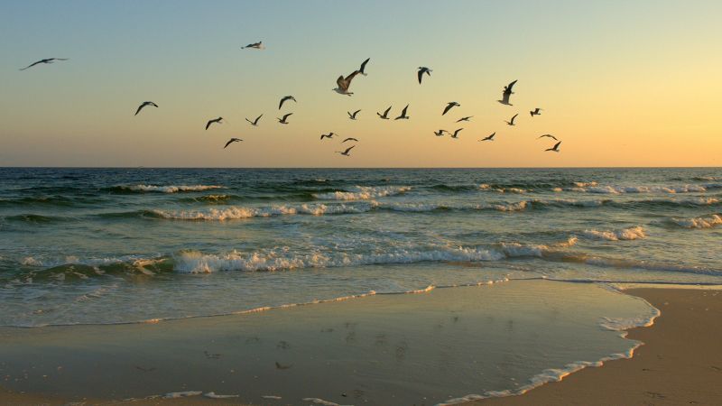 Top US Beaches of 2023: Hawaii and Florida Dominate Annual Ranking.