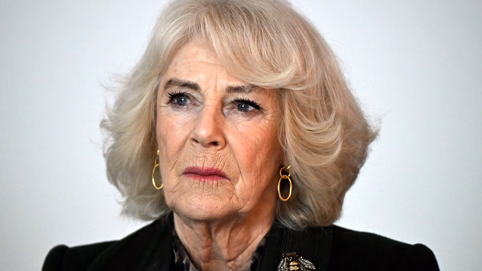 Featured image for Queen Camilla advocates against domestic violence, recalling past assaults