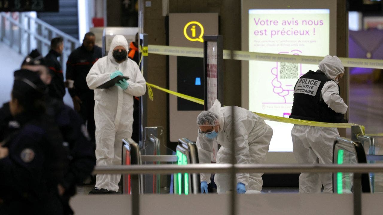 "Knife and Hammer Attack Injures Three at Paris Train Station, Suspect May Have Mental Health Issues"