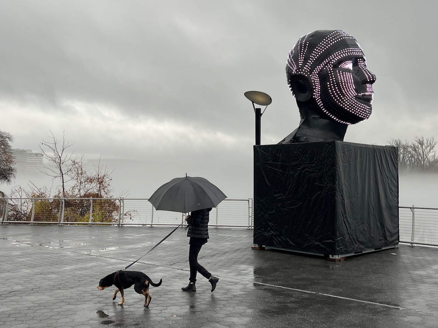 Severe Storm Alert: Heavy Rain and Strong Winds Expected Tonight and Monday