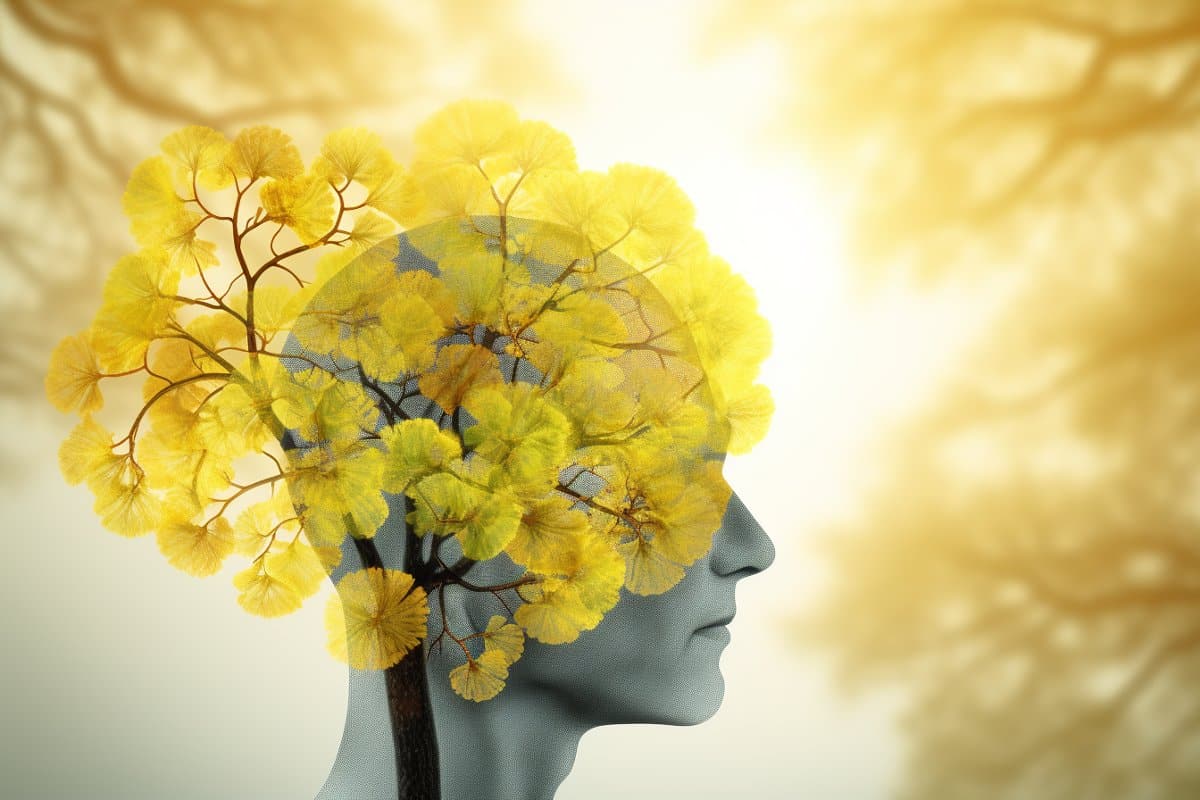 Featured image for "Ginkgo Biloba Compound: A Promising Treatment for Stroke-Related Cognitive Recovery"