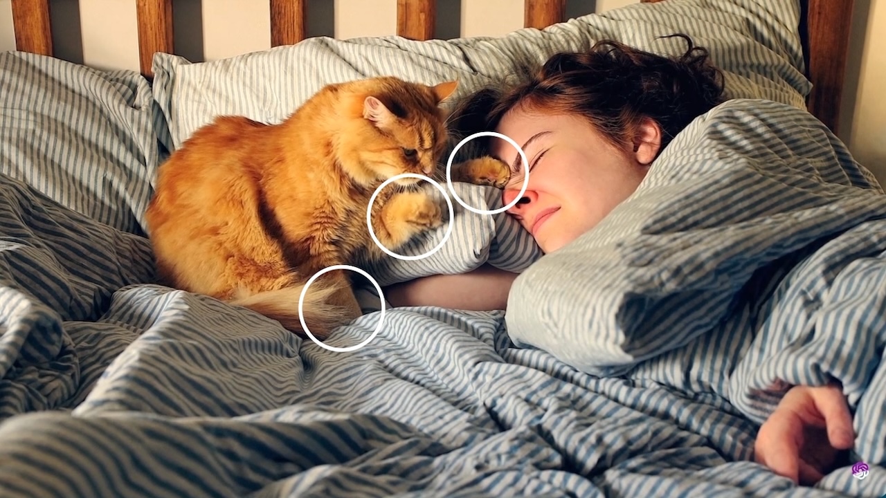 "Mastering the Art of Distinguishing AI-Generated Content"