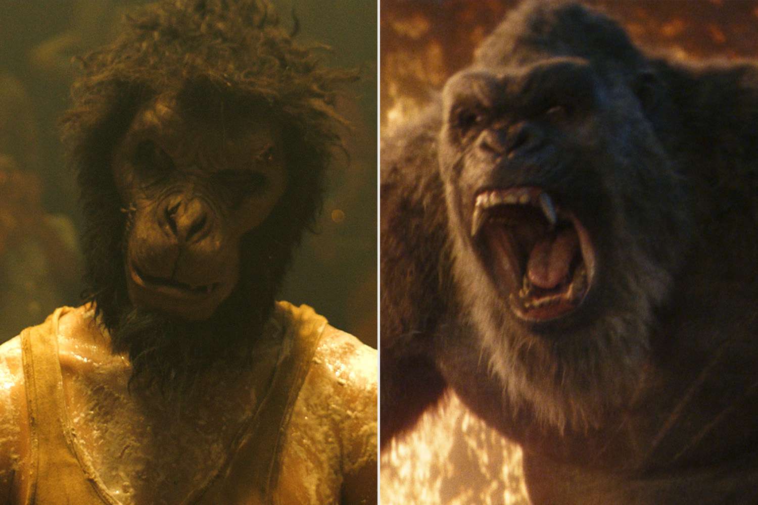 Featured image for 'Godzilla x Kong' Dominates Box Office, 'Monkey Man' Trails Behind