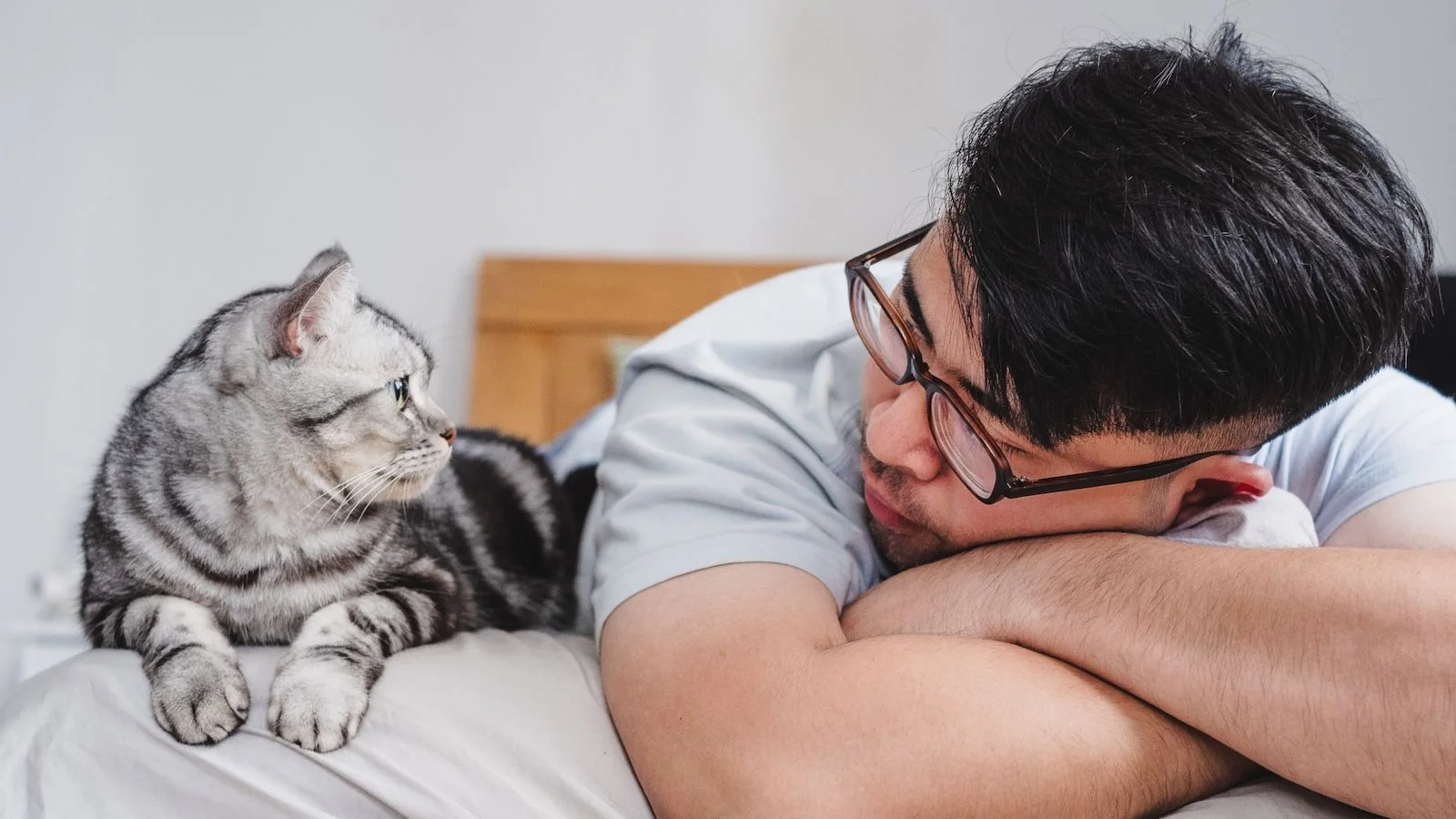Mutual Mews: Rethinking the Human-Cat Bond Through Mutualism