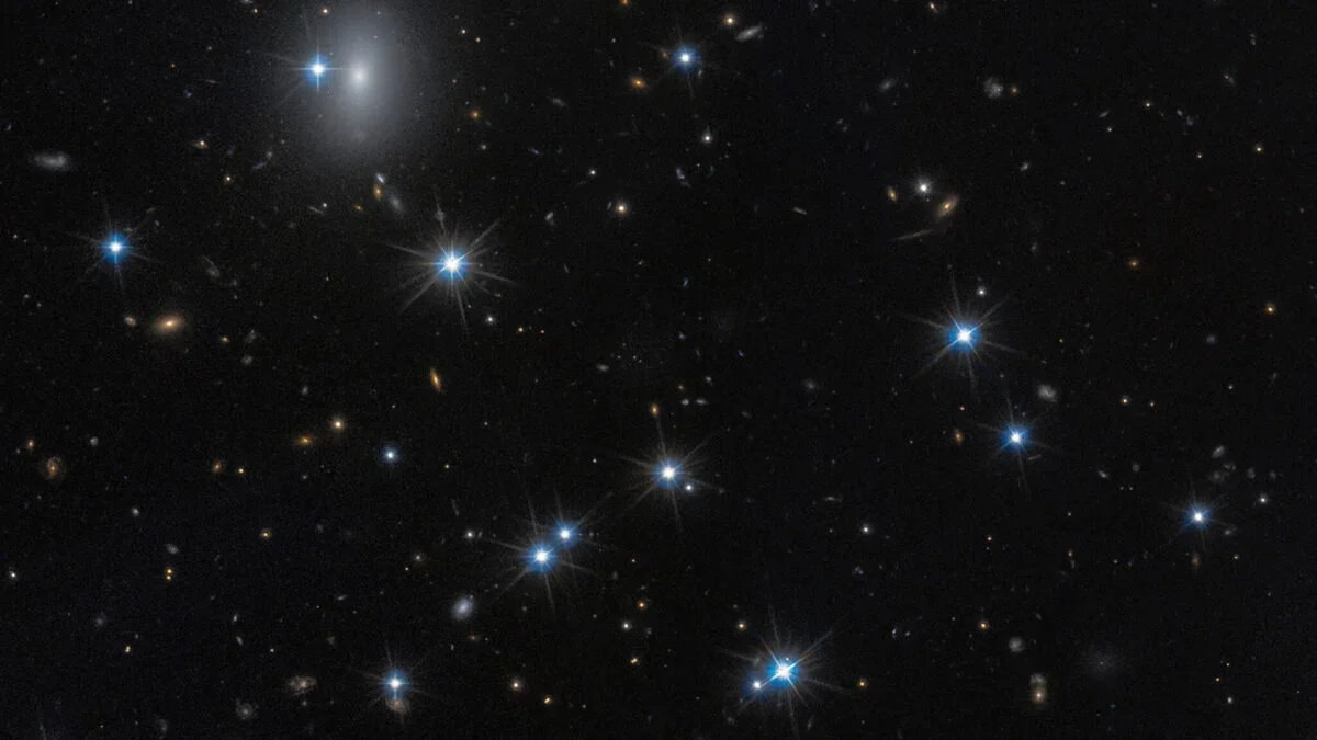 Galaxy Cloaked in Darkness Hints at 99% Dark Matter