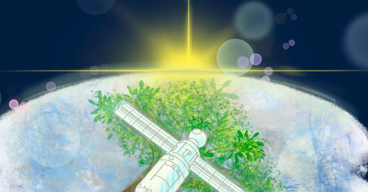 World's First Wooden Satellite Successfully Launched