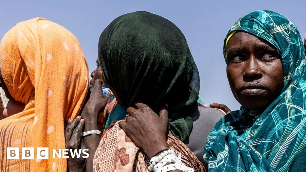 UN report details mass killings as RSF seizes El‑Fasher in Darfur