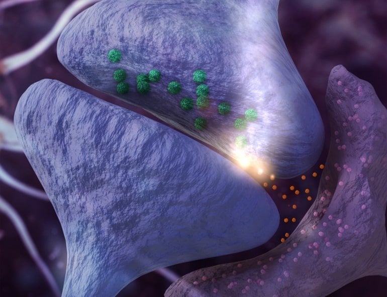 Astrocyte Dysfunction Linked to Memory Impairment and Cognitive Decline.