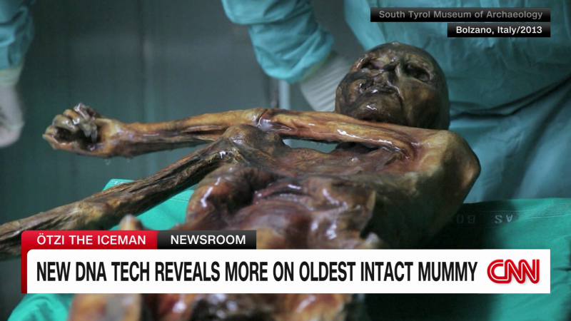 Featured image for "Unveiling the Secrets of the Oldest Intact Human Mummy through DNA Technology"
