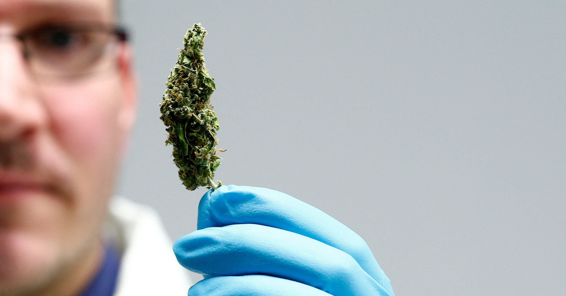 Featured image for "Germany Enters Legal Cannabis Market"