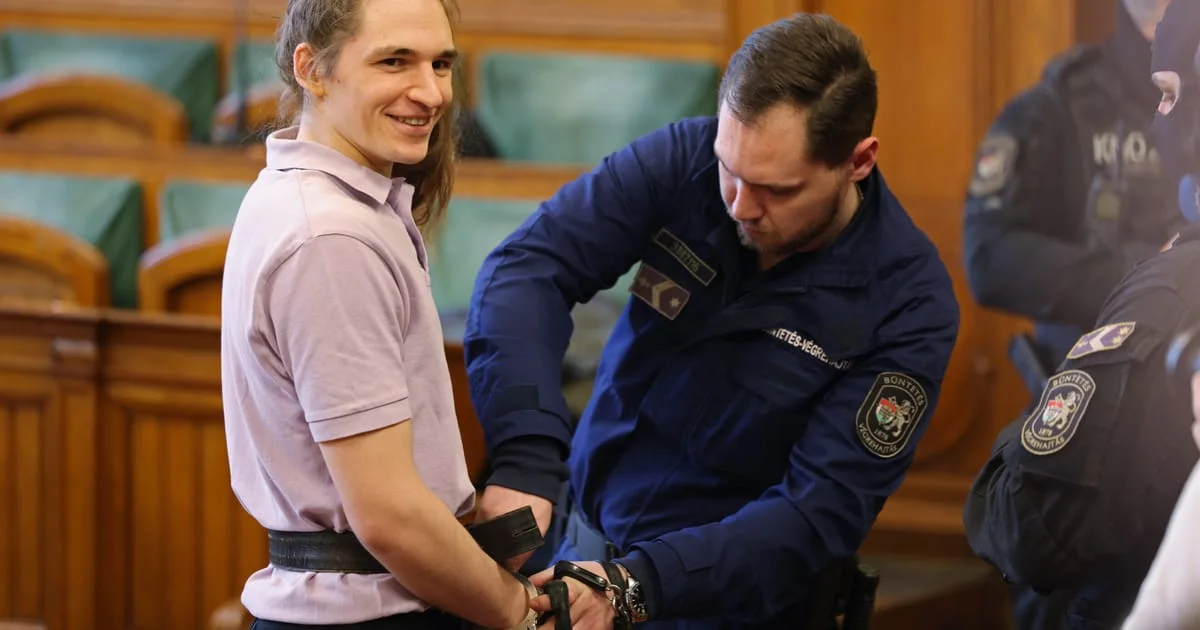 Eight-year Budapest sentence over neo-Nazi assault stirs Germany-Hungary tensions