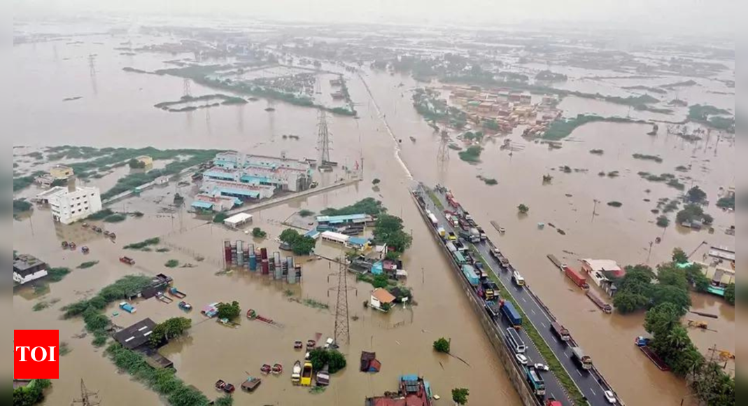 "Torrential Rain Triggers Bridge Collapse and Rescue Operations in Tamil Nadu"