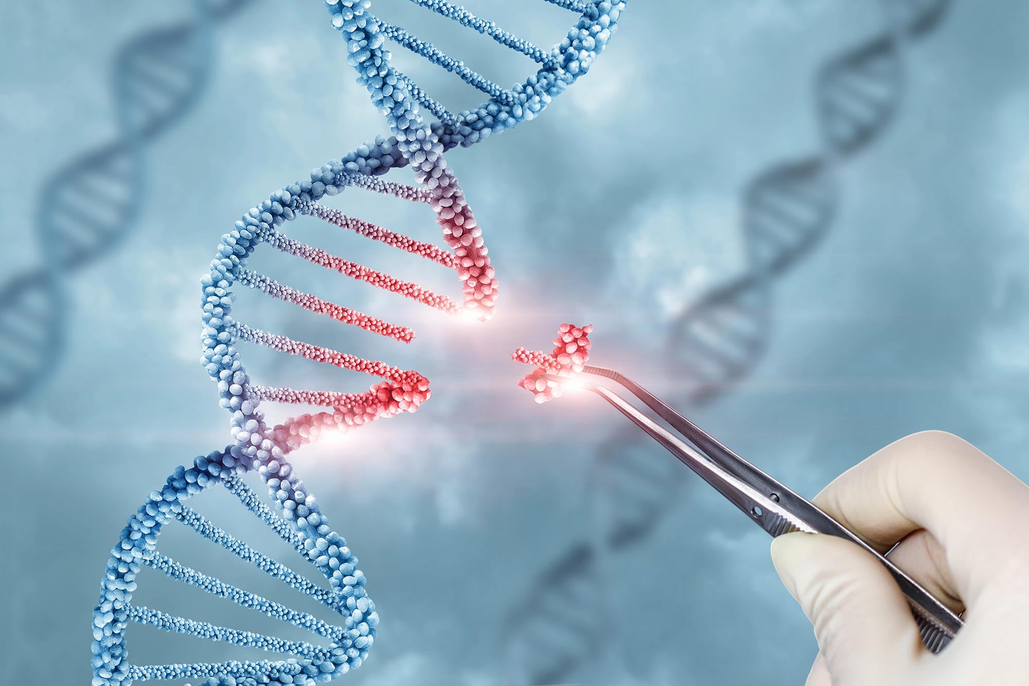 Featured image for MIT Scientists Achieve Breakthrough in Gene Editing Precision