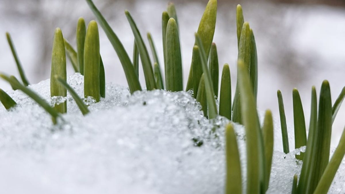 NOAA predicts floods and warmer weather for spring in the US.