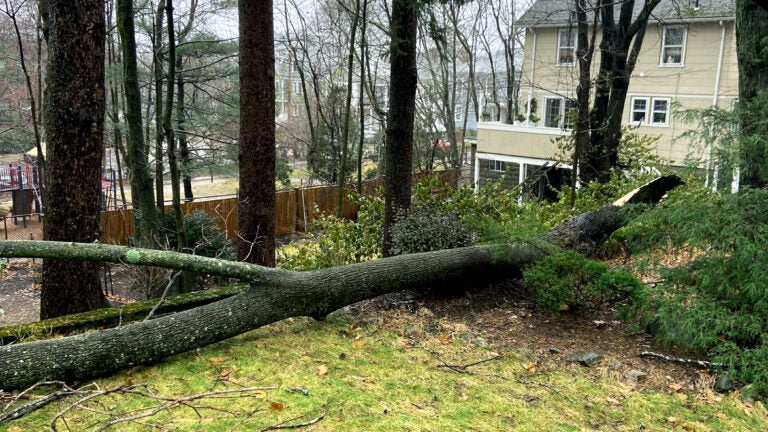 "Massive Storm Sweeps Northeast, Leaving Thousands Without Power and Causing Flooding"