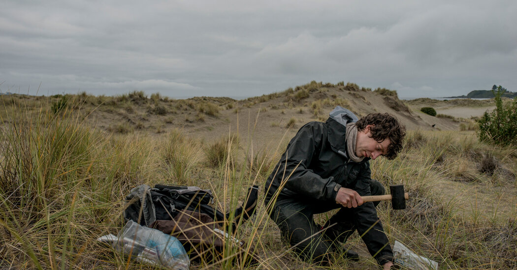 Uncovering the Potential of Fungal Networks for Earth's Survival.