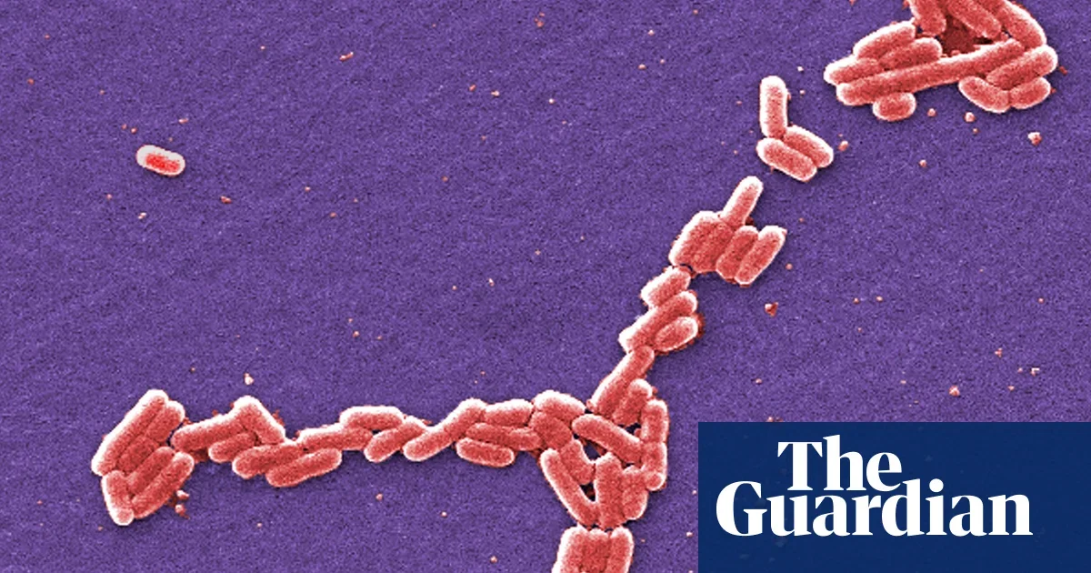 "University of Arkansas E. coli Outbreak Hospitalizes Five Students"