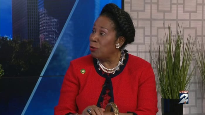 Sheila Jackson Lee's Campaign Chair Assaulted and Audio Leaked