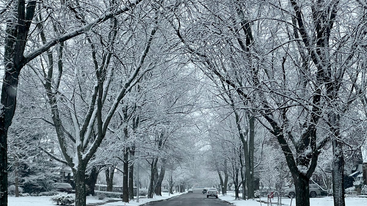 "Michigan Counties Brace for Near-Blizzard Conditions and 10 Inches of Snow"