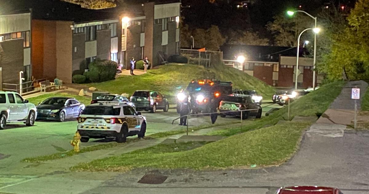 Violent Incidents Rock Pittsburgh: Woman Shot in Crafton Heights, Teen Stabbed in Downtown