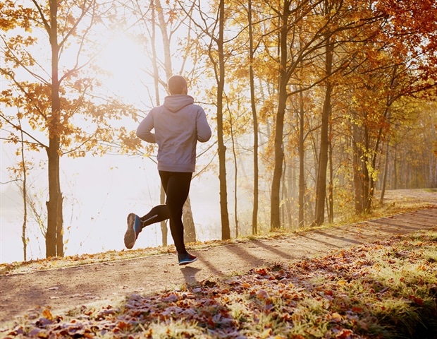 "Breakthrough: New Brain Cells Found to Correct Navigational Errors"