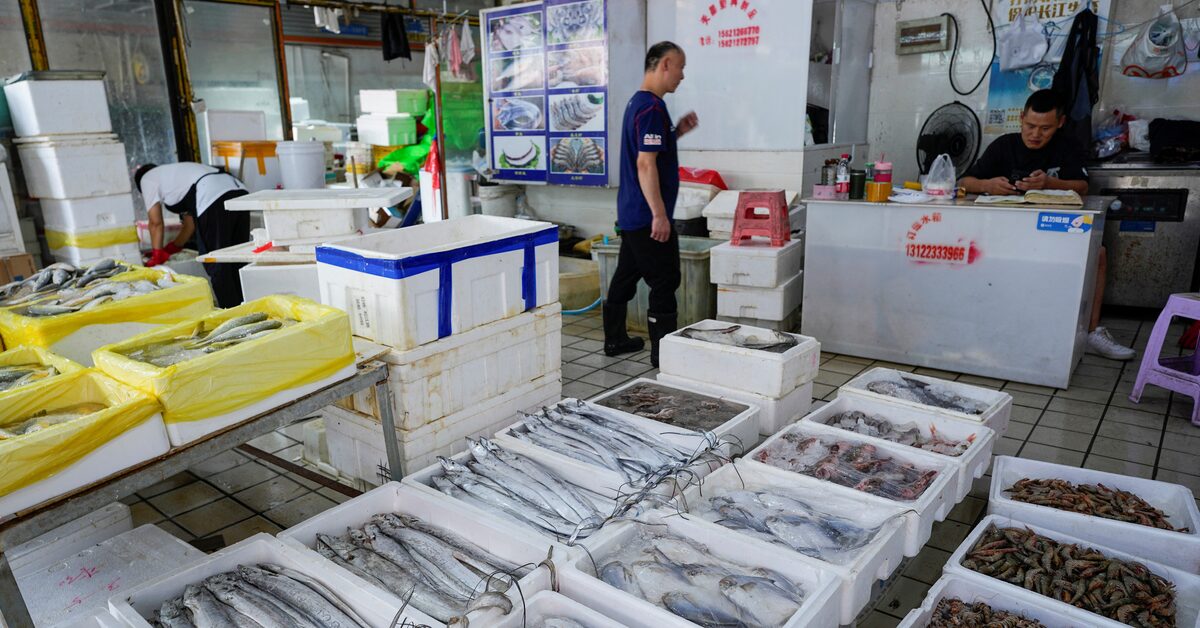 Japan's Prime Minister Vows Support for Fishing Industry Amid China's Seafood Ban