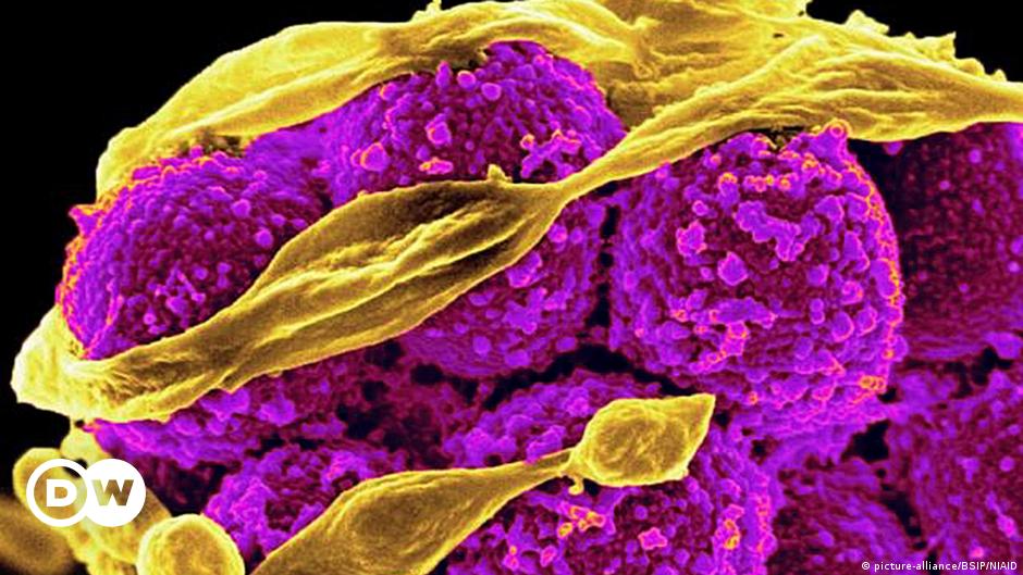 The Global Battle Against Antibiotic Resistance: A Silent Pandemic