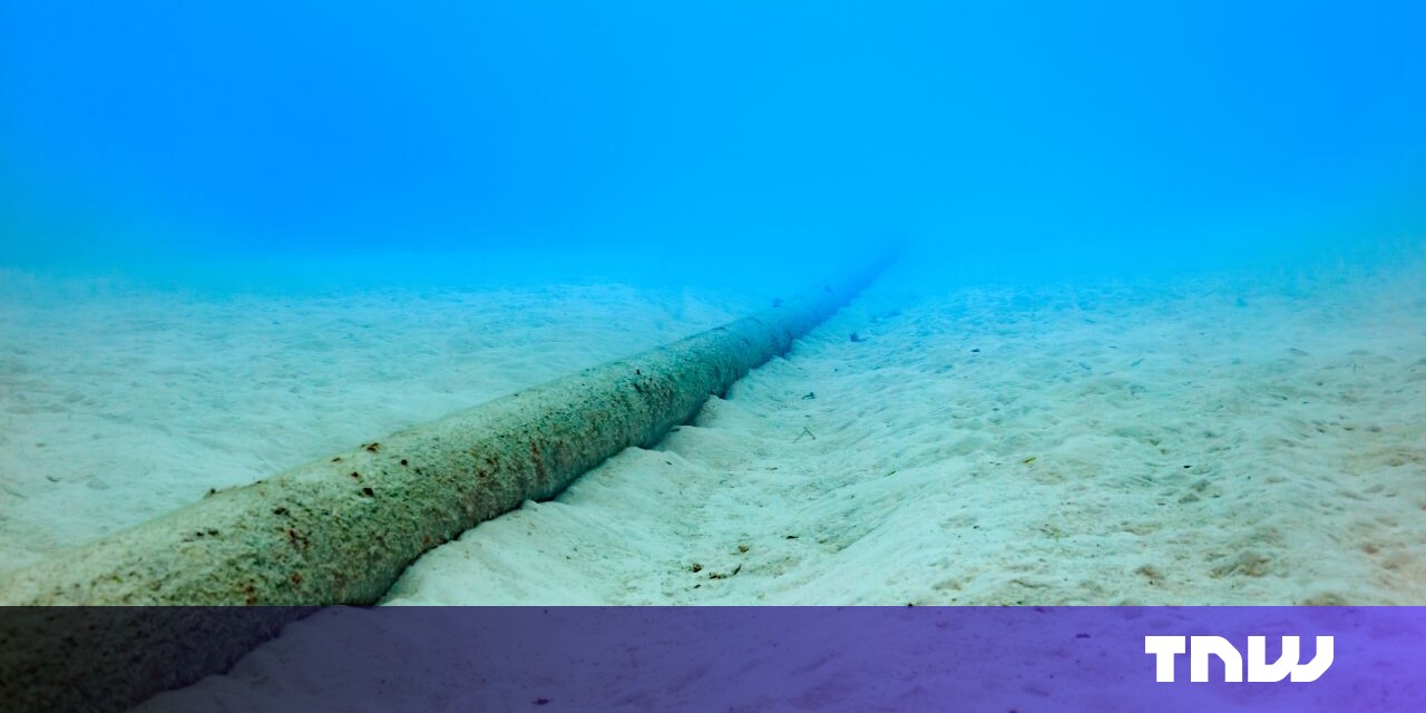 "Red Sea Internet Outage: Impact and Implications of Cable Damage"