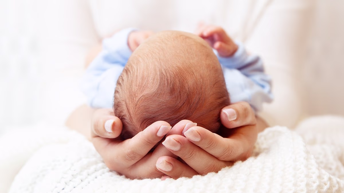 Featured image for Environmental Factors and Nutritional Deficiencies Influence Mammalian Sex Development